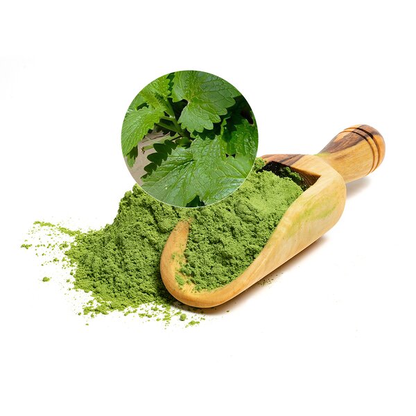 Catnip Powder Manufacturer - Sustainably Sourced 1kg Bulk Wild-Cultivated for Pets