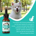Probiotic Drops for Pets Manufacturer - for Puppies & Kittens Gentle Digestive Aid Non-GMO