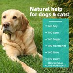 Probiotic Drops for Pets Manufacturer - Durlevel Flavorless for Cats Dogs 5 Billion