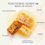 Mushroom Honey Manufacturer - High Potency with Black Lava Sea Salt 12 Ct