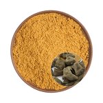 Tannic Acid Powder Manufacturer - Organic Natural Antioxidant Gallnut Extract