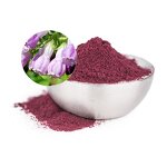 Lithospermum Extract Powder Manufacturer - Organic Natural Shikonin for Energy