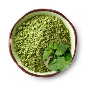Catnip Powder Manufacturer - High Quality Peluche Relleno De Promote Digestion