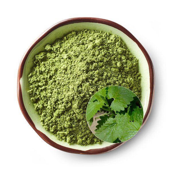 Catnip Powder Manufacturer - High Quality Peluche Relleno De Promote Digestion