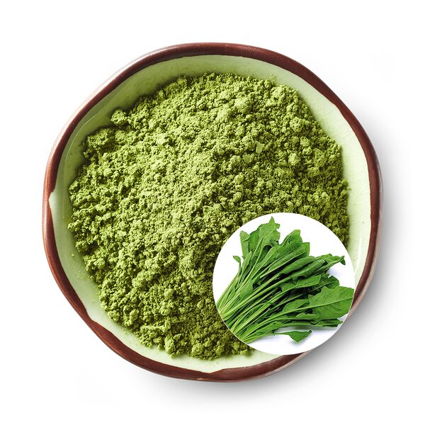 Red Spinach Extract Powder Manufacturer - Natural Slimming