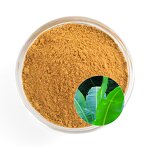 Banana Extract Manufacturer - Durlevel Supply Corosolic Acid from Plantain & Loquat Leaf