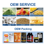 Papaya Powder Manufacturer - Freeze-Dried Rich in Vitamins A & C