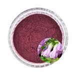 Lithospermum Extract Powder Manufacturer - Organic Natural Shikonin for Energy