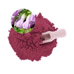 Lithospermum Extract Powder Manufacturer - Organic Natural Shikonin for Energy