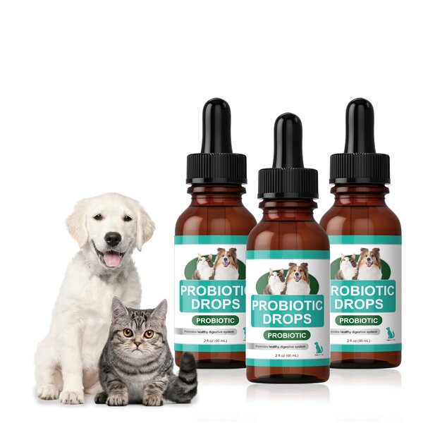 Probiotic Drops for Pets Manufacturer - Durlevel Flavorless for Cats Dogs 5 Billion