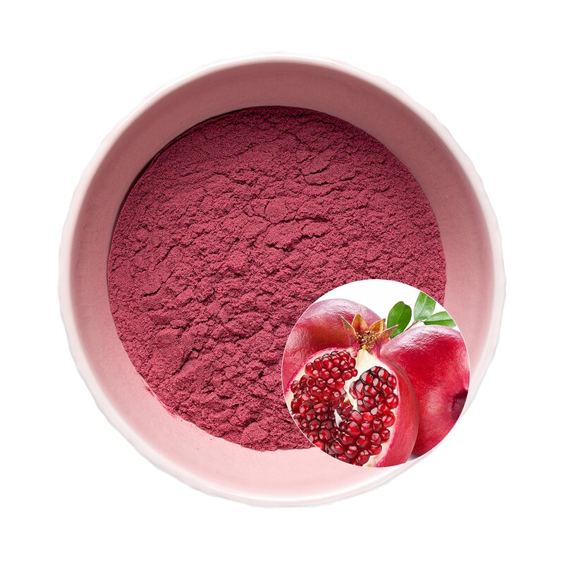 Pomegranate Fruit Extract Powder Manufacturer - High Purity Food Grade Antioxidant Wholesale