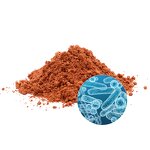 Dunaliella Salina Powder Manufacturer - Durlevel Supply Antioxidant