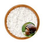 Snail Secretion Extract Powder Manufacturer - High Quality Skin Moisturising Animal Extract