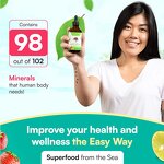 Sea Moss Liquid Drops - Manufacturer Organic Irish Burdock Root Immune Joint