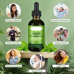 Chlorophyll Drops - Manufacturer Wholesale Extreme 6000mg Vegan Bulk