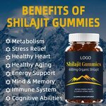 Shilajit Gummies - Manufacturer Mineral Vitamin Energy Metabolism Cell Activity