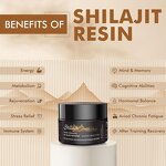 Shilajit Resin - Manufacturer OEM Organic 30g Himalayan Non-Pregnant Adult