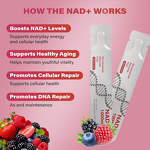 NAD+ Liquid Supplement Manufacturer - OEM Hot-selling 1000mg with PQQ Resveratrol for Skin & Energy