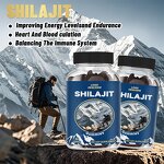 Shilajit Gummies Manufacturer - OEM Private Label Vegan Organic Himalayan for Men & Women