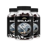 Shilajit Gummies Manufacturer - OEM Private Label Himalayan for Adults Not Pregnant