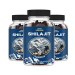 Shilajit Gummies Manufacturer - OEM Private Label Vegan Organic Himalayan for Men & Women