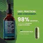 Chlorophyll Liquid Drops Manufacturer - ODM OEM 60ml for Radiant Skin