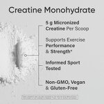 Creatine Monohydrate Powder Manufacturer - OEM Private Label Vegan Micronized for Men & Women