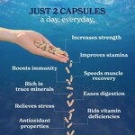 Sea Moss Capsules Manufacturer - OEM Private Label with Black Seed Oil Ashwagandha