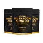 Mushroom Gummies Manufacturer - Hot Sale Organic with Reishi Cordyceps Lion's Mane