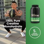 Creatine Monohydrate Powder Manufacturer - Pure Increases Energy & Muscle Strength Gains