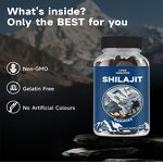 Shilajit Gummies Manufacturer - OEM Private Label Vegan Organic Himalayan for Men & Women