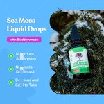 Sea Moss Drop Manufacturer - ODM Private Label Immune Boosting Multivitamins Small