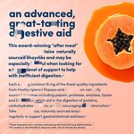 Papaya Tablet Manufacturer - ODM Private Label No Sugar Nutrition Absorb Enhance Immune