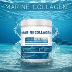 Marine Collagen Powder Manufacturer - OEM SUNI Private Label High Content Protein Immunity