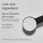 Creatine Monohydrate Powder Manufacturer - OEM Private Label Vegan Micronized for Men & Women