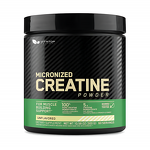 Creatine Monohydrate Powder Manufacturer - OEM Pure for Sports Nutrition Strength & Performance