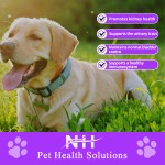 Dog Bladder Health Supplier - Effective Formula Ready Stock