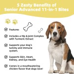 Dog Multivitamin Manufacturer - Custom Label Supplement