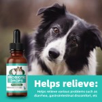 Probiotic For Dogs Manufacturer - Effective Formula Factory