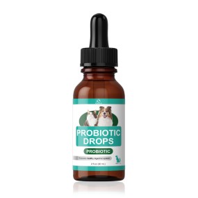 Probiotic For Dogs Manufacturer - Effective Formula Factory