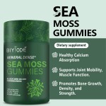 Sea Moss Gummies Factory - 2025 Herbal Health Supplement