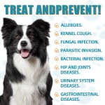 Pet Allergy Supplement Factory - Food Allergy Itch Relief