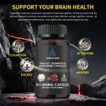 Mushroom Supplement Capsules Supplier - OEM Shilajit Lion's Mane