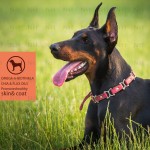 Omega-3 Dog Fish Oil Supplier - Skin Coat Health Liquid