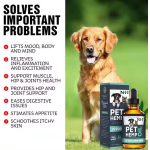 Pet Calming Drops Manufacturer - OEM Relaxation Supplement