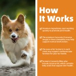 Hip Joint Dog Supplement Manufacturer - Turmeric Chews New