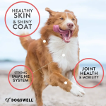 Wild Alaska Salmon Oil Supplier - Omega Rich Skin Coat