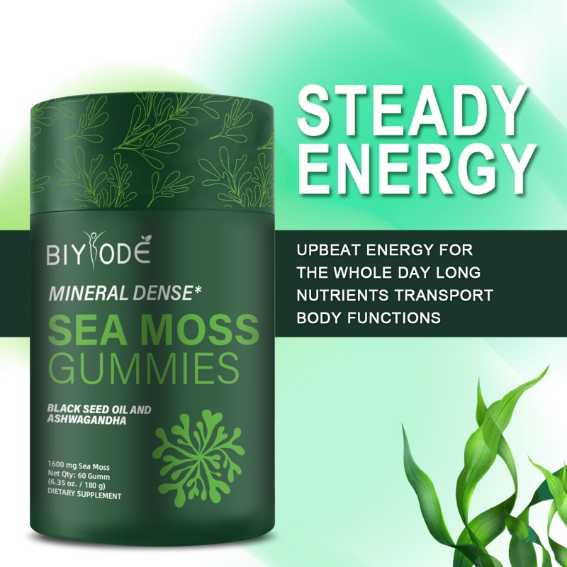 Sea Moss Gummies Factory - 2025 Herbal Health Supplement
