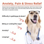 Calming Pet Liquid Supplier - Ready Stock Fast Shipping