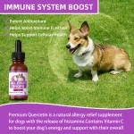 Allergy Supplement Drops Supplier - Sensitive Digestive Immune